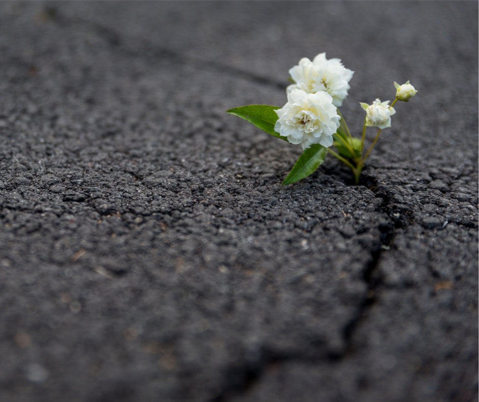 Four Things You Should Know About Resilience